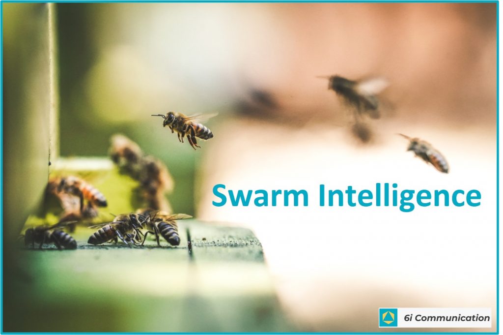 Copy swarm intelligence from nature